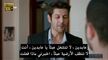 مسلسل مطلوب حب عاجل الحلقة 17
