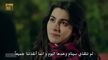 مسلسل الآغا الصغير الحلقة 14