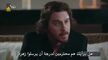 مسلسل القرنفل الأبيض الحلقة 06