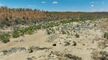 Aussie Gold Hunters S10E17 WEBRip x264-skorpion